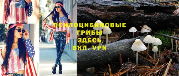 Альфа ПВП Карталы