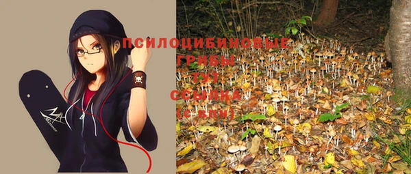 каннабис Каменка