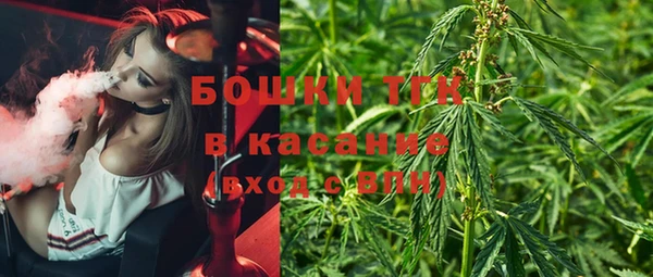 ПСИЛОЦИБИНОВЫЕ ГРИБЫ Касимов