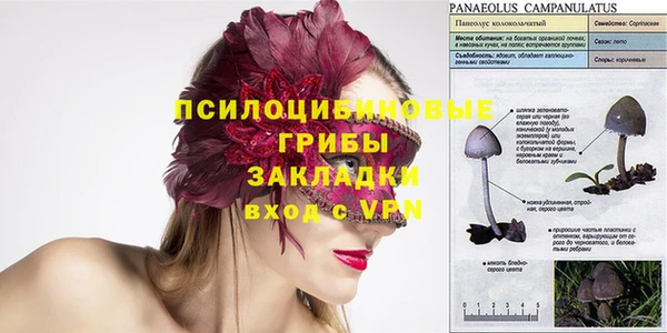гашик Каменск-Шахтинский
